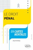 Le droit pénal en cartes mentales (eBook, ePUB)