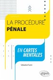 La procédure pénale en cartes mentales (eBook, ePUB)