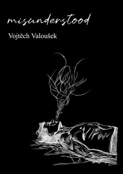 Misunderstood (eBook, ePUB) - ValouSek, Vojtech
