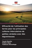 Efficacité de l'utilisation des terres pour les principales cultures intercalaires de petites céréales avec des légumineuses