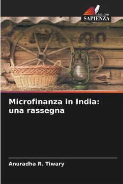 Cover Microfinanza in India: una rassegna