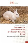 Évaluation de performances de production de lapins élevés