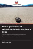 Études génétiques et cellulaires du podocyte dans le FSGS