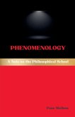 Phenomenology