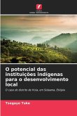 O potencial das instituições indígenas para o desenvolvimento local