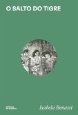 O salto do tigre (eBook, ePUB)