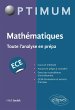 Mathématiques : Toute l'analyse en... - Bild 1