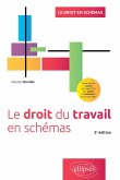 Le droit du travail en schémas (eBook, ePUB)
