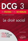 DCG 3 - Le Droit social en fiches et en schémas (eBook, ePUB)