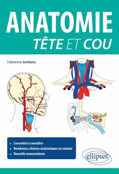 Cover Anatomie tête et cou (eBook, ePUB)