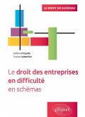 Le droit des entreprises en difficulté en schémas (eBook, PDF)