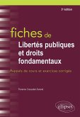 Fiches de Libertés publiques et droits fondamentaux - 3e édition (eBook, PDF)