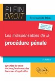 Les indispensables de la procédure pénale - 2e édition (eBook, PDF)