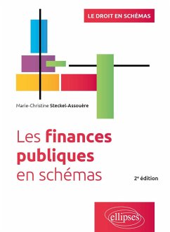 Les finances publiques en schémas (eBook, PDF) - Steckel-Assouère, Marie-Christine