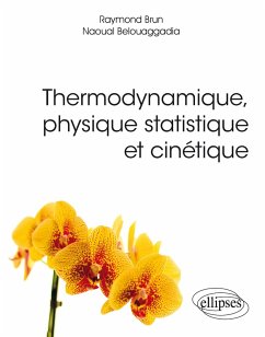 Cover Thermodynamique, physique statistique et cinétique (eBook, PDF)
