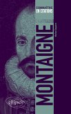 Montaigne (eBook, ePUB)