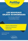 Les nouveaux enjeux économiques (eBook, ePUB) Les nouveaux enjeux économiques (eBook, ePUB)