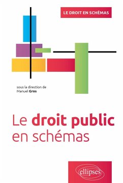 Le droit public en schémas (eBook, PDF) - Gros