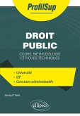 Droit public (eBook, PDF) Droit public (eBook, PDF)