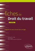 Fiches de Droit du travail (eBook, ePUB)