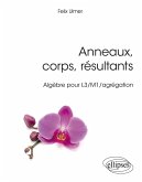 Anneaux, corps, résultants - Algèbre pour L3/M1/agrégation (eBook, PDF)