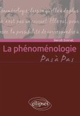 La phénoménologie (eBook, ePUB)
