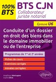 Conduite d'un dossier en droit des biens dans le domaine immobilier ou de l'entreprise (U6) (eBook, ePUB)
