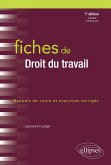 Fiches de Droit du travail - 7e édition revue et augmentée (eBook, PDF)