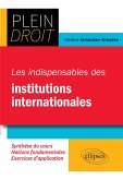 Les indispensables des institutions internationales (eBook, PDF)