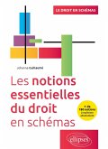 Les notions essentielles du droit en schémas (eBook, PDF)