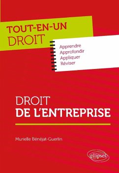 Cover Droit de l'entreprise (eBook, PDF)
