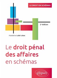 Cover Le droit pénal des affaires en schémas (eBook, PDF)