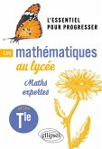 Les mathématiques au lycée - Option Maths expertes Terminale (eBook, PDF) Les mathématiques au lycée - Option Maths expertes Terminale (eBook, PDF)