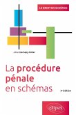 La procédure pénale en schémas, 3e édition (eBook, PDF)