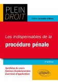 Les indispensables de la procédure pénale (eBook, ePUB)
