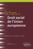 Fiches de Droit social de l'Union européenne (eBook, PDF)