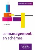 Le management en schémas (eBook, PDF)