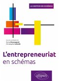 L'entrepreneuriat en schémas (eBook, PDF)