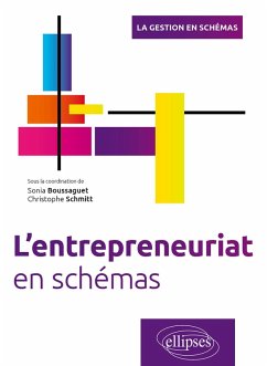 L'entrepreneuriat en schémas (eBook, PDF) - Boussaguet, Sonia; Schmitt, Christophe