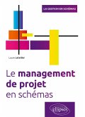 Le management de projet en schémas (eBook, PDF)