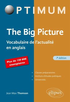 Cover The Big Picture (eBook, PDF)