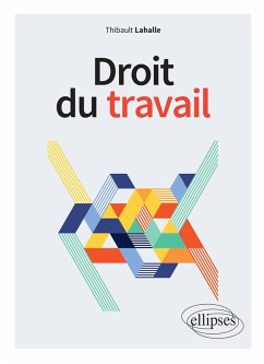 Droit du travail (eBook, ePUB) - Lahalle, Thibault