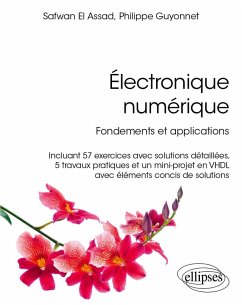 Cover Électronique numérique (eBook, PDF)