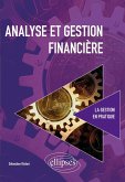Analyse et gestion financière (eBook, PDF)
