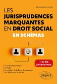 Les jurisprudences marquantes en droit social (eBook, PDF)