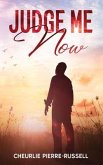 Judge Me Now (eBook, ePUB)