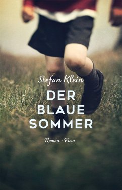 Der blaue Sommer (eBook, ePUB) - Klein, Stefan