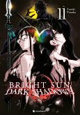 Bright Sun - Dark Shadows - Band 11 (eBook, ePUB)