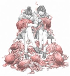 Cover Sentence Structure In The Country