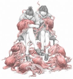 Cover Sentence Structure In The Country